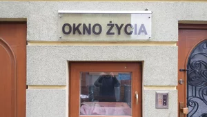 Miniatura: 1,5-roczny chłopiec w oknie życia. Miał...