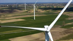 Miniatura: Zielona Armia Czerwona