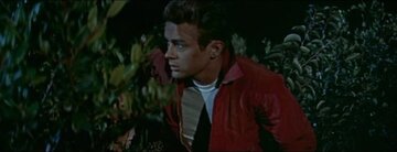 James Dean w&nbsp;&bdquo;Buntowniku bez powodu&rdquo;