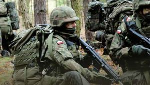 Miniatura: A polska armia?
