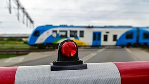 Miniatura: Maszyniści zapowiadają protest i uderzają...