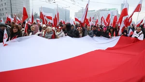 Miniatura: "Niech żyje Polska!". Polacy obchodzą...