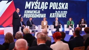 Miniatura: Dwa sukcesy i porażka