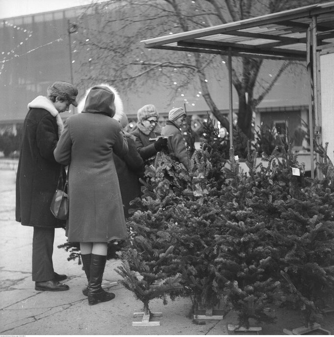 Sprzedaż choinek, 1972 rok