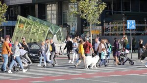 Miniatura: GUS podał najnowsze dane dotyczące...