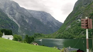 Miniatura: Anormalka