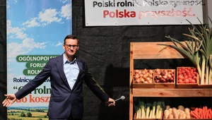 Miniatura: Rozwój Plus przedstawił osiem postulatów...