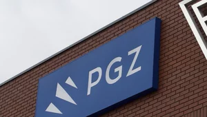 Miniatura: Kolejna państwowa posada byłej...