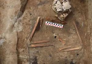 Miniatura: Z nożem pod szyją. Bardzo nietypowy...