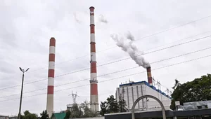 Miniatura: Ćwierć miliarda dla zwalnianych...