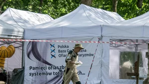 Miniatura: Stos ciał i ślady brutalnych obrażeń. Nowe...