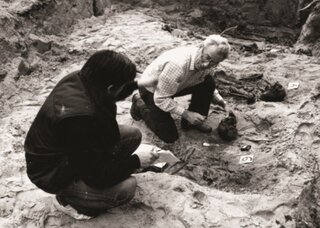 Uroczysko Wielki Bór koło Gib, miejsce ekshumacji, 1987 r. Po prawej dr Tadeusz Jóźwik z Akademii Medycznej w Białymstoku (zbiory IPN)Uroczysko Wielki Bór koło Gib, miejsce ekshumacji, 1987 r. Po prawej dr Tadeusz Jóźwik z Akademii Medycznej w Białymstoku