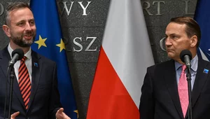 Miniatura: Kosiniak-Kamysz: Polska wzorem do...