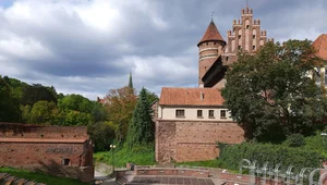 Miniatura: Warmia w granicach państwa zakonu...