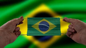 Miniatura: Brazylia: Od września szczepienie trzecią...