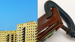 Miniatura: Bosak: Śmiali się, kiedy mówiliśmy o tym w...