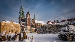 Miniatura: Wawelskie tajemnice