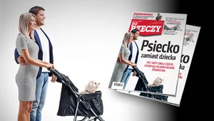 Miniatura: "Do Rzeczy" nr 21: Psiecko zamiast...