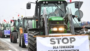 Miniatura: Kolejny ukraiński polityk obraża polskich...