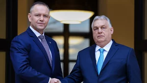 Miniatura: Polacy o wizycie prezydenta Nawrockiego na...