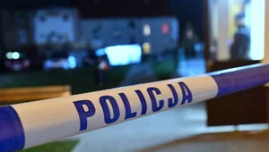 Miniatura: Wyrzuciła noworodka na śmietnik....