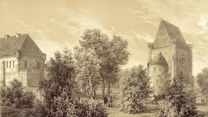 Miniatura: Księżniczki i damy za kratami