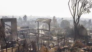 Miniatura: "To była ogromna panika". Błędne alerty...