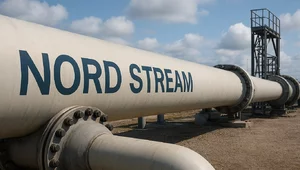 Miniatura: Sondaż: Polska powinna wydać podejrzanego...