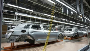 Miniatura: UE wycofuje się z zakazu. Niemcy są przeciw