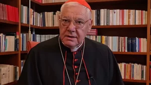 Miniatura: Kard. Müller: Dość nadużyć i sporów! Jest...