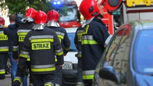 Miniatura: Tragiczny pożar we Wrocławiu. Nie żyją...