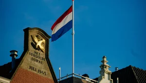 Miniatura: Holandia ogranicza wymianę informacji...