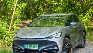 Miniatura: Cupra Tavascan Endurance Adrenaline