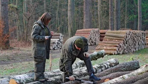 Miniatura: Las jest ważny dla każdego z nas