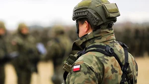Miniatura: Polska, Wielka Brytania, Holandia i...