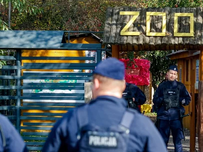 Miniatura: Ministerstwo odcina się od interwencji w...