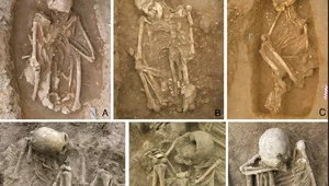 Miniatura: Najstarsze mumie świata. Wcale nie...