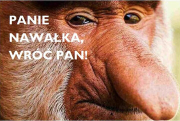 Memy po meczu Polska-Włochy 