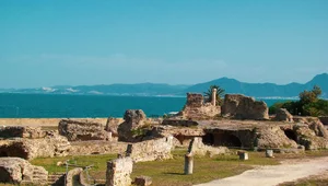 Miniatura: Chwała Kartaginy