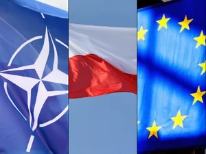 Miniatura: Polska w nowym świecie