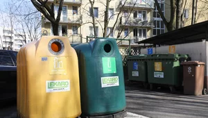 Miniatura: Białe kosze pojawiły się w polskich...