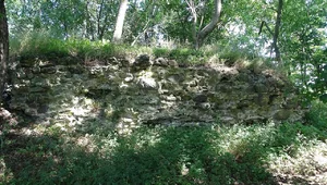 Miniatura: Zguba w fosie. Znaleziono drogocenny...