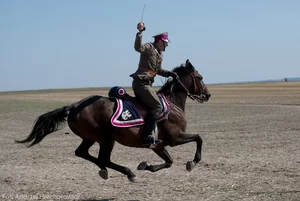 Miniatura: Oszałamiające zwycięstwo nad Armią Konną....