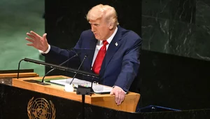 Miniatura: Trump wali kijem po kracie