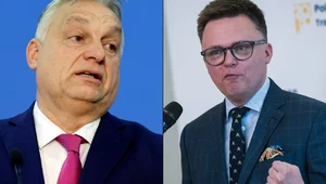 Miniatura: "Sabotażysta, agent". Hołownia atakuje Orbana