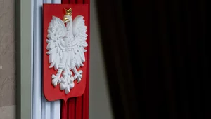 Miniatura: Krajobraz po wielkim szoku