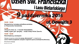 Miniatura: Dzień św. Franciszka i Lasu Bielańskiego