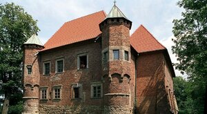 Miniatura: Burzliwe dzieje Dębna