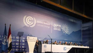 Miniatura: "Historyczna porażka". Niemiecka prasa...