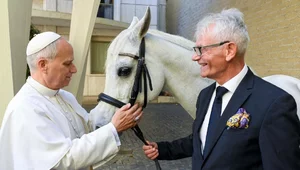 Miniatura: Polak podarował papieżowi konia. To...